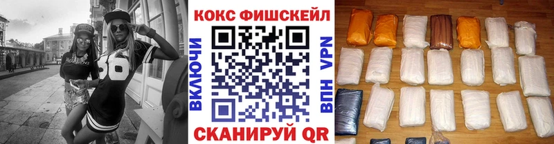 закладка  Сковородино  КОКАИН Fish Scale 