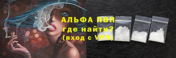 индика Богданович