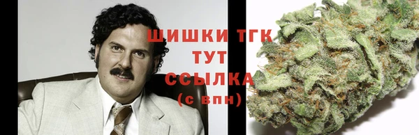 индика Богданович