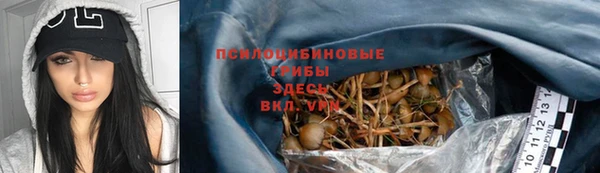 прущие крисы Богородицк