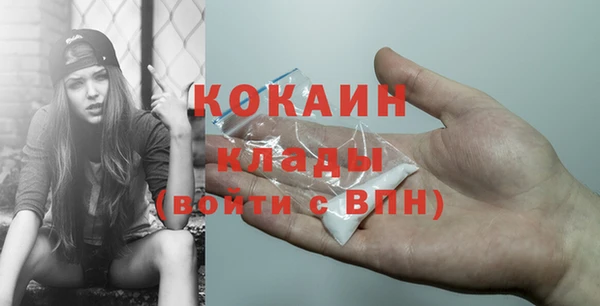 индика Богданович