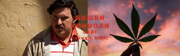индика Богданович