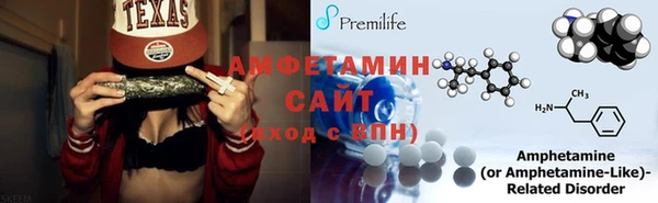 индика Богданович