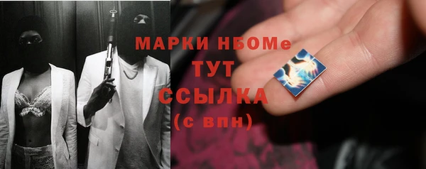 индика Богданович