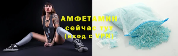 индика Богданович