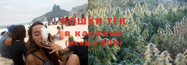 индика Богданович