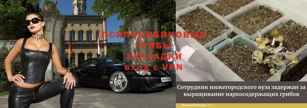 прущая мука Богородск