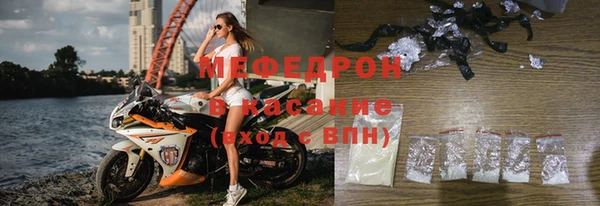 индика Богданович