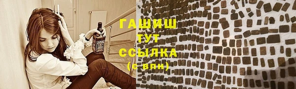 индика Богданович