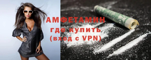 индика Богданович
