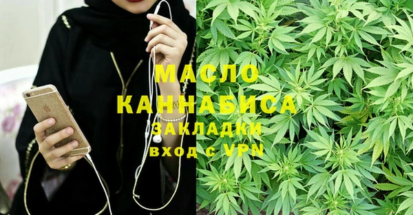 индика Богданович