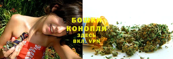 индика Богданович